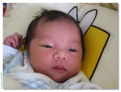 u36/colan/medium/23736588.OneMouth1181823_CRW_RJ.jpg