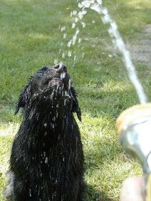 Annie showering.jpg