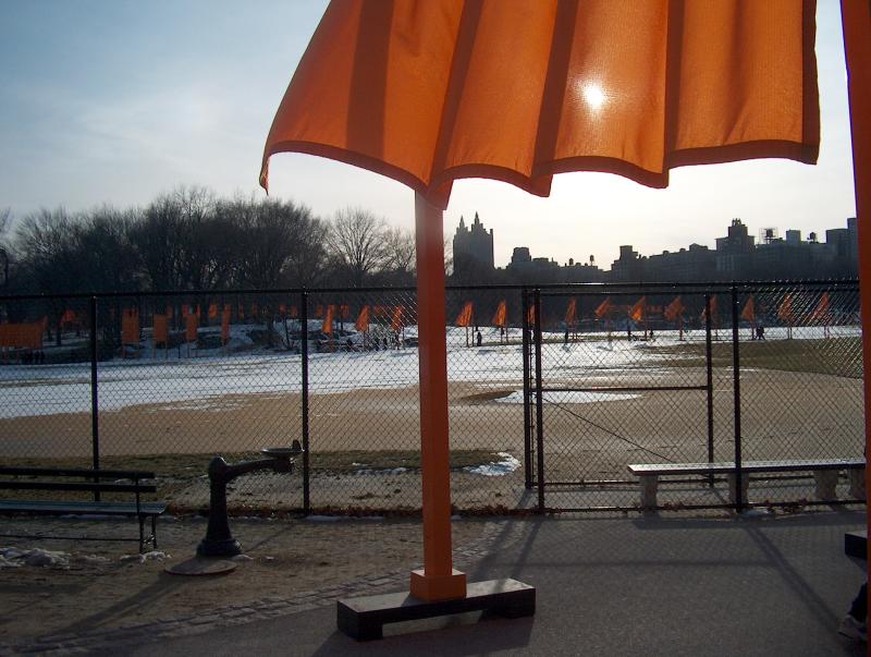 cliche sun shining through saffron