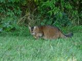DSC07404.JPG