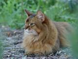 DSC07431.JPG