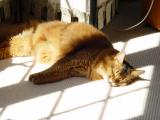 DSC07738.JPG