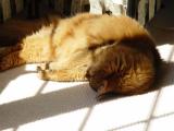 DSC07739.JPG