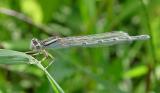 DSC07925.jpg