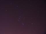 Orion<br>DSC06707.JPG