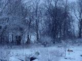 DSC01040.JPG