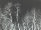 DSC01057.JPG
