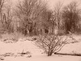 DSC01068.JPG