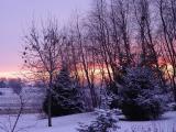 DSC01079.JPG