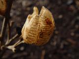 DSC08576.JPG
