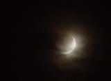 DSC08923.jpg