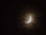 DSC08924.jpg