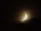 DSC08932.jpg