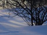 DSC01547.JPG