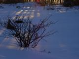 DSC01626.JPG