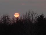 DSC01906.JPG