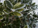 DSC02021.JPG