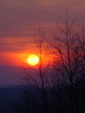 DSC09808.JPG