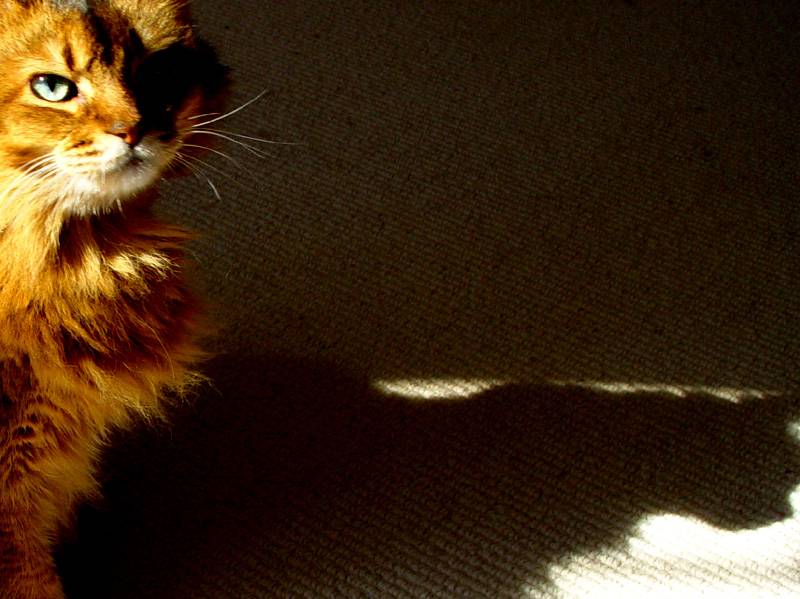 September 30, 2004<br><font size=2>Me and my Shadow</font><br>Day 147