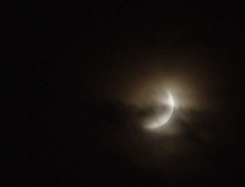 DSC08921.jpg