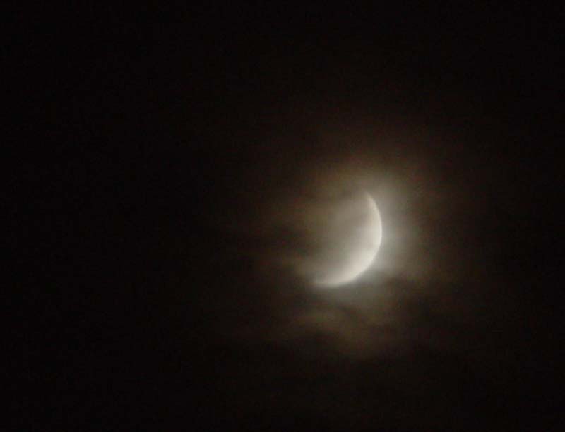 DSC08924.jpg