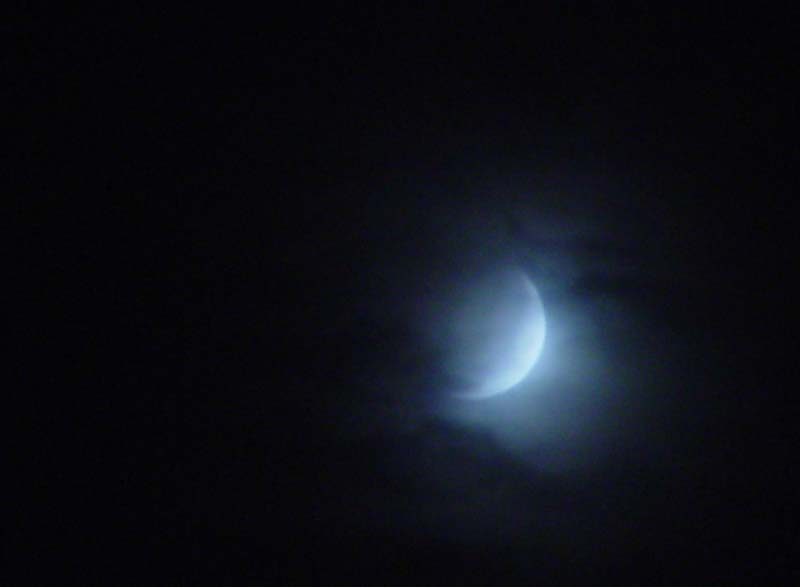 DSC08925.jpg