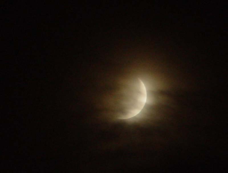 DSC08929.jpg