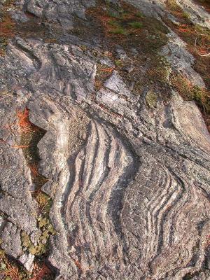 Glacial grooves at beaver pond on mountain - detail