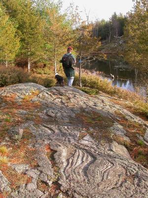 Glacial grooves at beaver pond on mountain