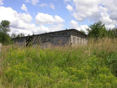 tall grass by the barn