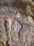 Glacial grooves at beaver pond on mountain - detail
