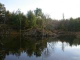 Beaver pond reflections