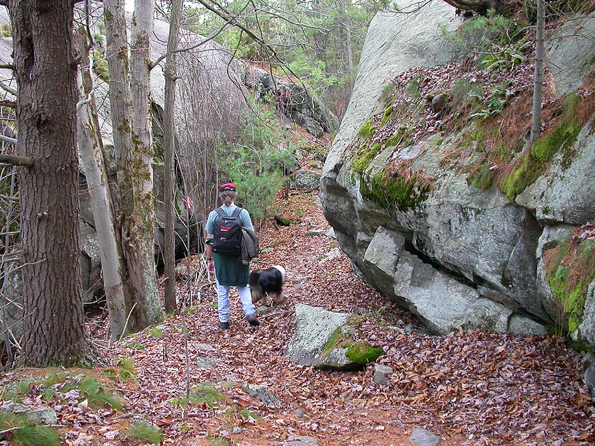 Softly sculpted rock forms along trail