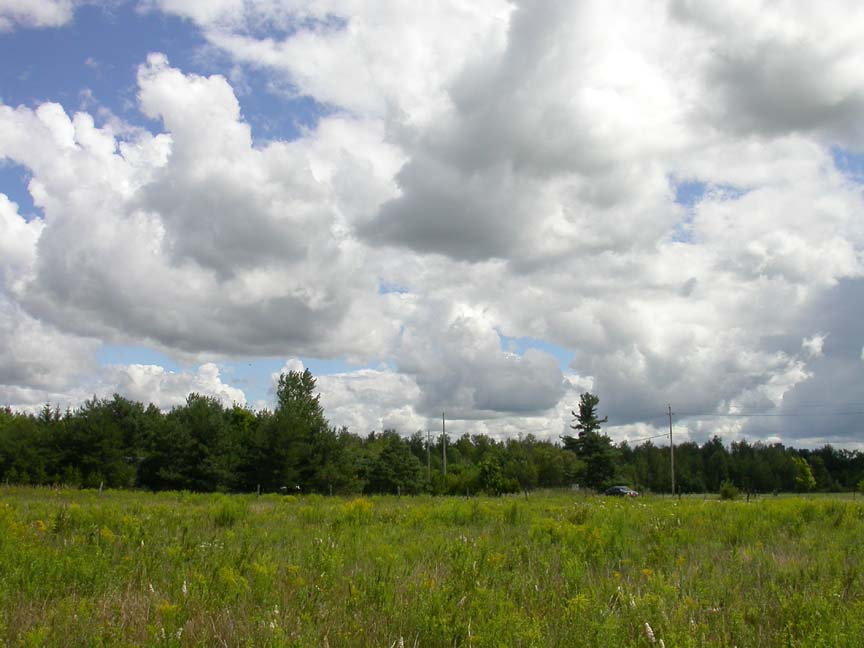 fields - 4