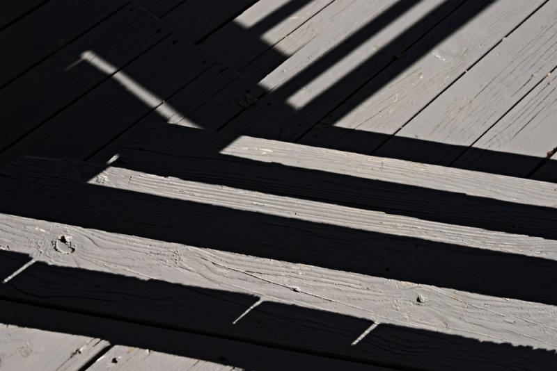 <b>Step into the Shadow*</b><br><font sige=3>by Tim Dahl</font>