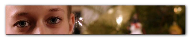 <B>Christmas Dreams</B><BR>*<FONT size=2>Roberta</FONT>