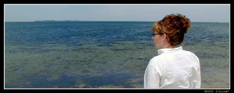 *Nantucket Moment