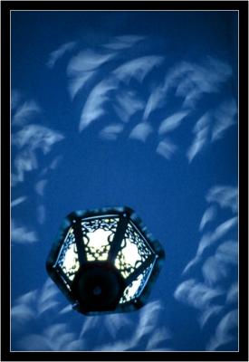 The Blue Lamp *  by Frederic Poncelet