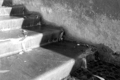 Stair Shadows With Running Water by Dan Chusid