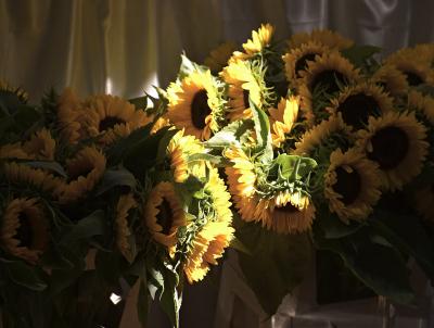 Sunflowersby Teapot