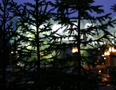 Shadows of Christmas to come* by annayu2