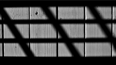 Deck the Halls*by Tim Dahl