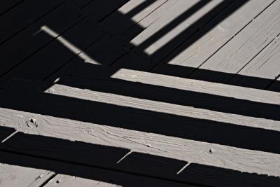 Step into the Shadow*by Tim Dahl