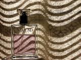 <b>7th Place (Tie)</b><br><i>Bound By Shadows<br>by Mark J</i>
