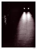 <B>*Mostly Shadows</B><BR>by j trujillo