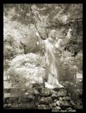 <B>Dappled Sunlight Shadows</B> <BR> <I>by Angela Holder</I>