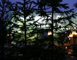 Shadows of Christmas to come* by annayu2