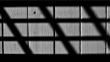 <b>Deck the Halls*</b><br><font sige=3>by Tim Dahl</font>