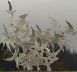 <b>Bird Sculpture</b> *<br>by Phil M