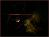 <b>Red Shadow of Earth</b><br><font size=-1>by Lev Bass</font>